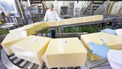 恒天然斥資2000萬(wàn)擴(kuò)建工廠，全力擁抱中國(guó)奶酪市場(chǎng)新浪潮